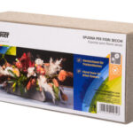 Esponja para flores secas