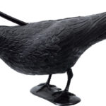 Cuervo espantapájaros