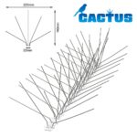 CACTUS G225