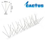 CACTUS P100