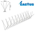 CACTUS P140