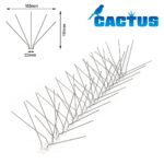 CACTUS P185